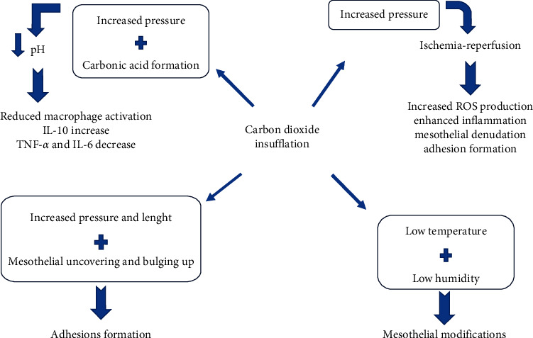 The "Dark Side" of Pneumoperitoneum and Laparoscopy.