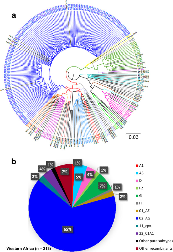 Subtype-specific differences in Gag-protease replication capacity of HIV-1 isolates from East and West Africa.