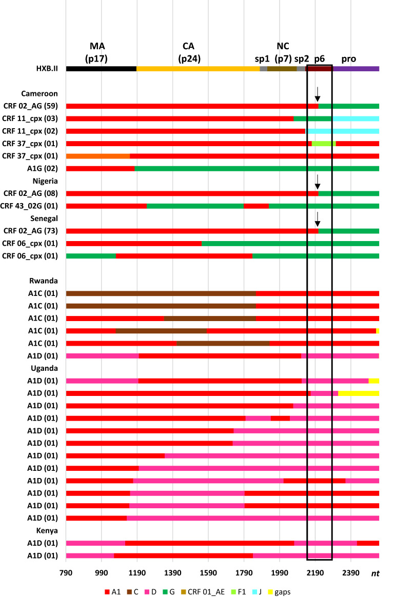 Subtype-specific differences in Gag-protease replication capacity of HIV-1 isolates from East and West Africa.