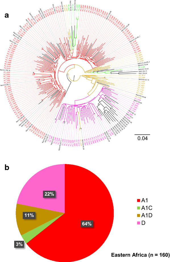 Subtype-specific differences in Gag-protease replication capacity of HIV-1 isolates from East and West Africa.