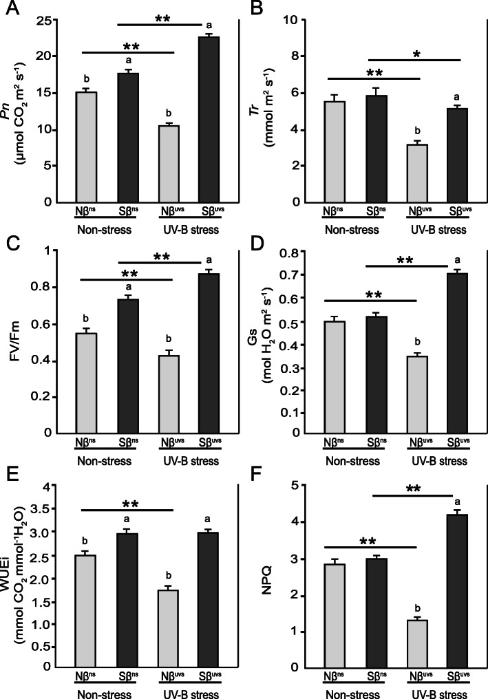 β-Sitosterol differentially regulates key metabolites for growth improvement and stress tolerance in rice plants during prolonged UV-B stress.