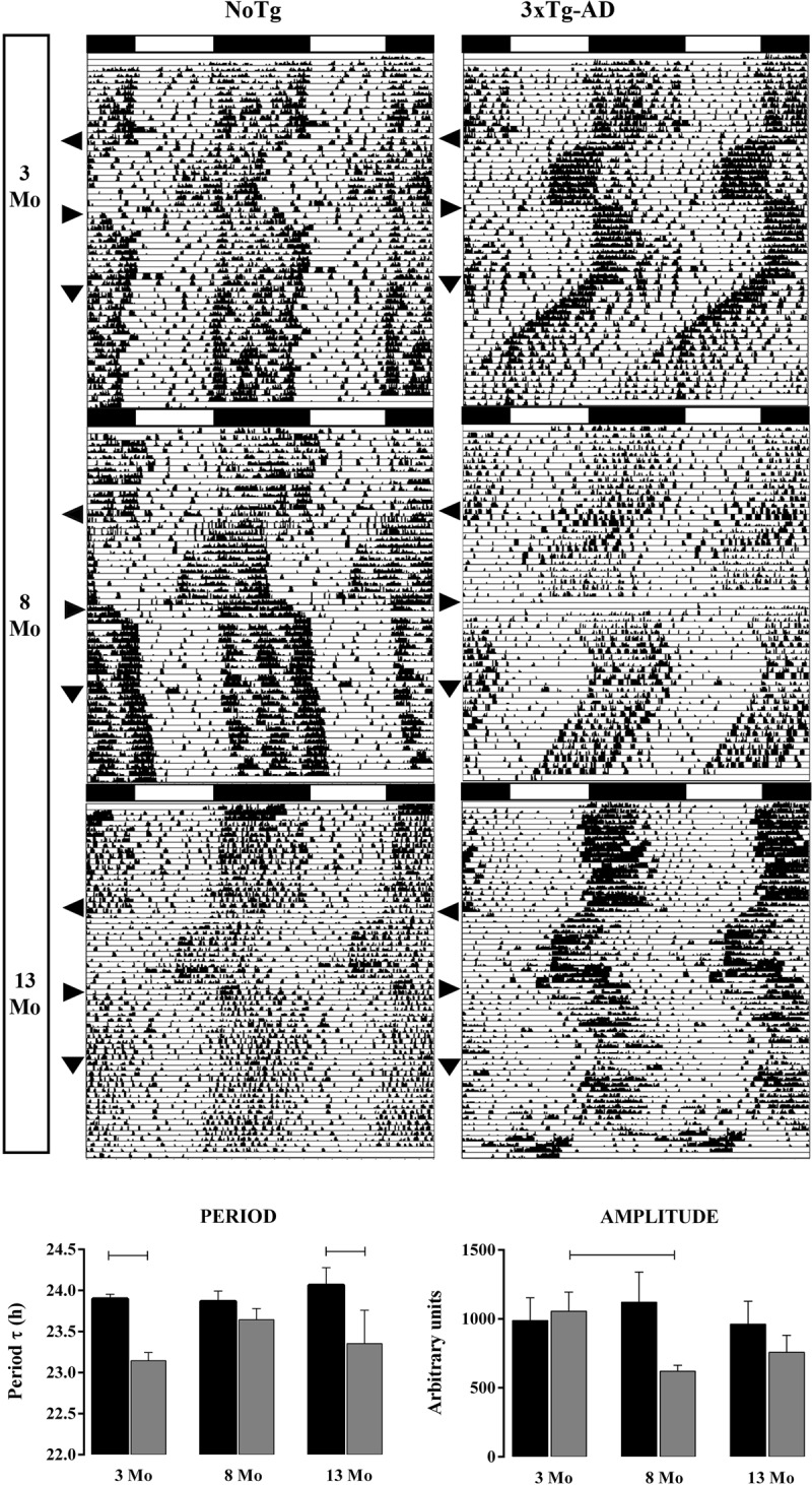 Changes in 24 h Rhythmicity of Spontaneous Locomotor Activity in the Triple Transgenic Mouse for Alzheimer's Disease (3xTg-AD) in a Jet Lag Protocol: Correlations with Retinal Sensitivity.