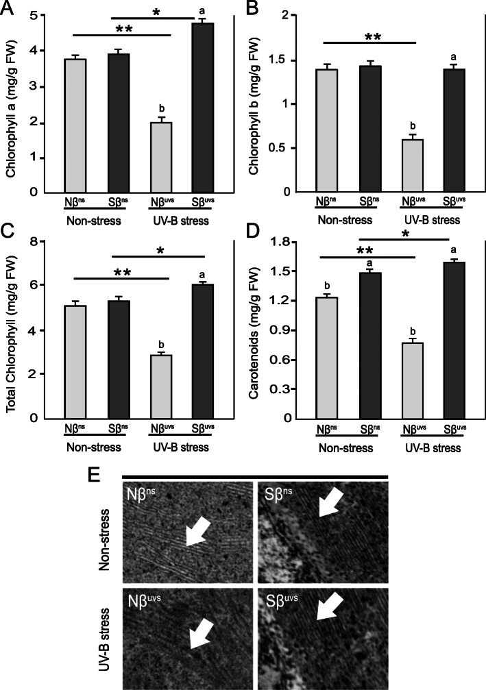 β-Sitosterol differentially regulates key metabolites for growth improvement and stress tolerance in rice plants during prolonged UV-B stress.