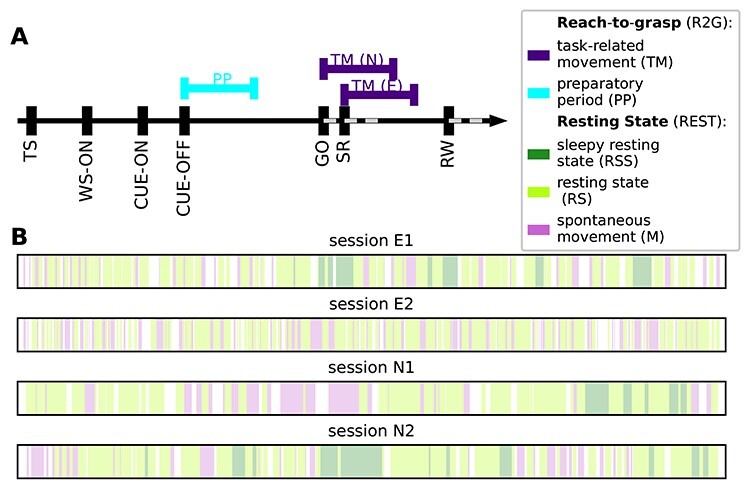 On the Complexity of Resting State Spiking Activity in Monkey Motor Cortex.