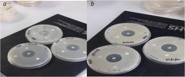 Synthesis and characterizations iron oxide carbon nanotubes nanocomposite by laser ablation for anti-microbial applications.