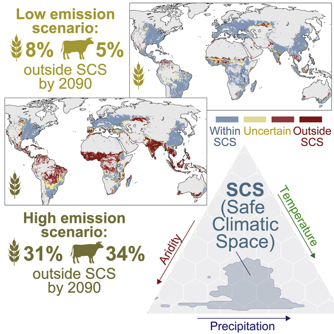 Climate change risks pushing one-third of global food production outside the safe climatic space.