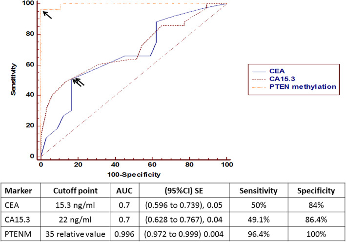 Clinical impact of PTEN methylation status as a prognostic marker for breast cancer.