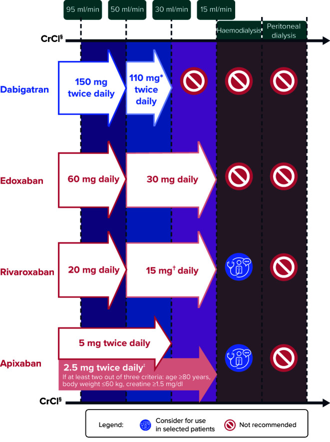 Direct Oral Anticoagulants in Asian Patients with Atrial Fibrillation: Consensus Recommendations by the Asian Pacific Society of Cardiology on Strategies for Thrombotic and Bleeding Risk Management.