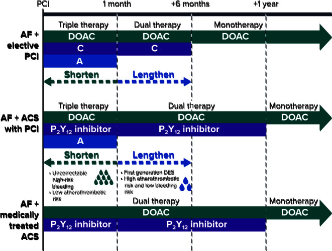 Direct Oral Anticoagulants in Asian Patients with Atrial Fibrillation: Consensus Recommendations by the Asian Pacific Society of Cardiology on Strategies for Thrombotic and Bleeding Risk Management.
