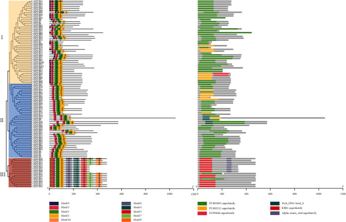 Identification of Isoflavonoid Biosynthesis-Related R2R3-MYB Transcription Factors in <i>Callerya speciosa</i> (Champ. ex Benth.) Schot Using Transcriptome-Based Gene Coexpression Analysis.