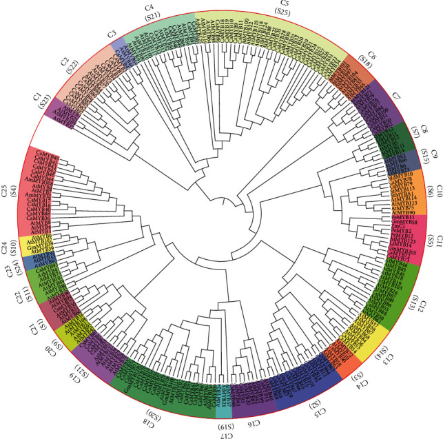 Identification of Isoflavonoid Biosynthesis-Related R2R3-MYB Transcription Factors in <i>Callerya speciosa</i> (Champ. ex Benth.) Schot Using Transcriptome-Based Gene Coexpression Analysis.