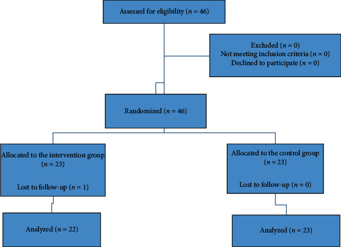 The Effect of the Hydroalcoholic Extract of Watercress on the Levels of Protein Carbonyl, Inflammatory Markers, and Vitamin E in Chronic Hemodialysis Patients.