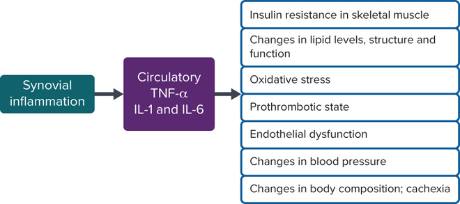 Atherosclerotic Cardiovascular Disease in Rheumatoid Arthritis: Impact of Inflammation and Antirheumatic Treatment.