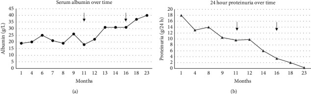 A Case of Severe and Refractory Membranous Nephropathy Associated to Mucous Membrane Pemphigoid.