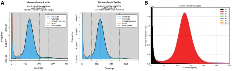 The Crown Pearl: a draft genome assembly of the European freshwater pearl mussel Margaritifera margaritifera (Linnaeus, 1758).