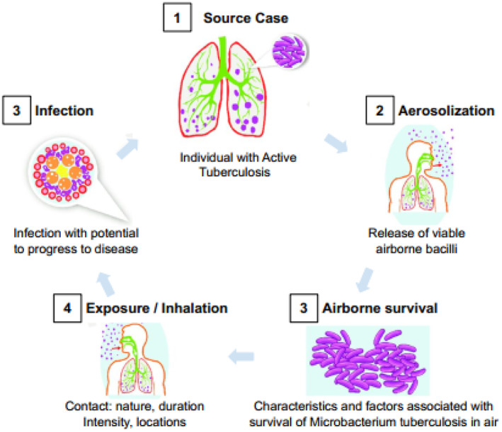 State Feedback and Synergetic controllers for tuberculosis in infected population.