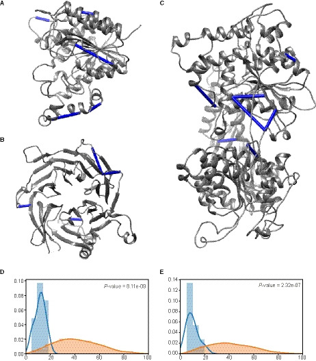 Cross-linking mass spectrometry reveals the structural topology of peripheral NuRD subunits relative to the core complex.