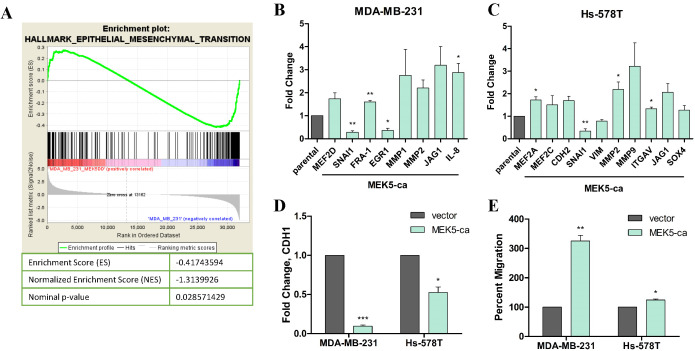 Constitutive activation of MEK5 promotes a mesenchymal and migratory cell phenotype in triple negative breast cancer.