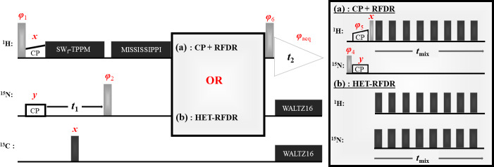 Heteronuclear and homonuclear radio-frequency-driven recoupling.