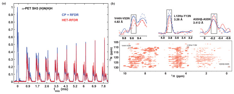 Heteronuclear and homonuclear radio-frequency-driven recoupling.