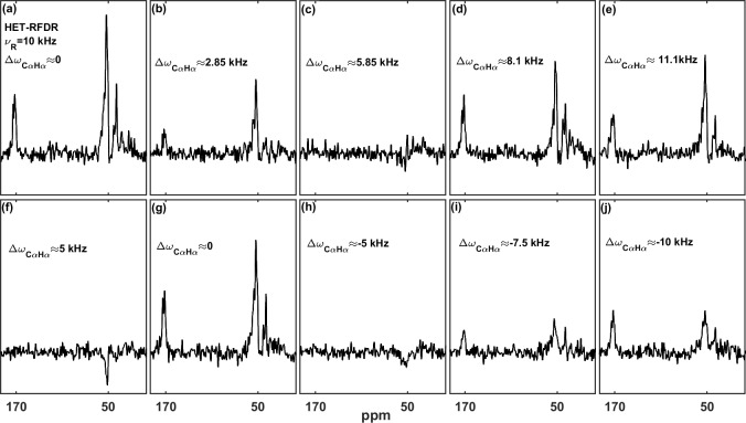 Heteronuclear and homonuclear radio-frequency-driven recoupling.