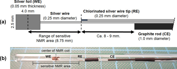 An electrochemical cell for in operando <sup>13</sup>C nuclear magnetic resonance investigations of carbon dioxide/carbonate processes in aqueous solution.