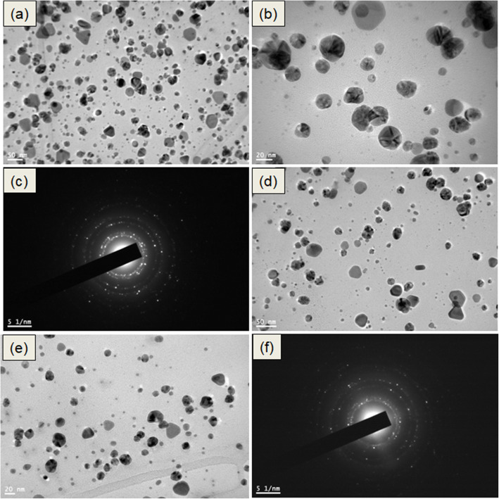 Green synthesis of silk sericin-embedded silver nanoparticles and their antibacterial application against multidrug-resistant pathogens.