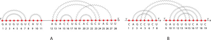 Structural relation matching: an algorithm to identify structural patterns into RNAs and their interactions.