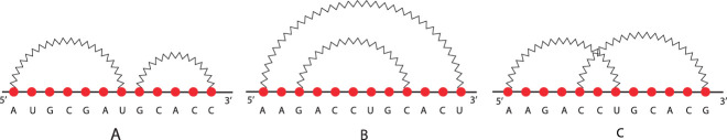 Structural relation matching: an algorithm to identify structural patterns into RNAs and their interactions.