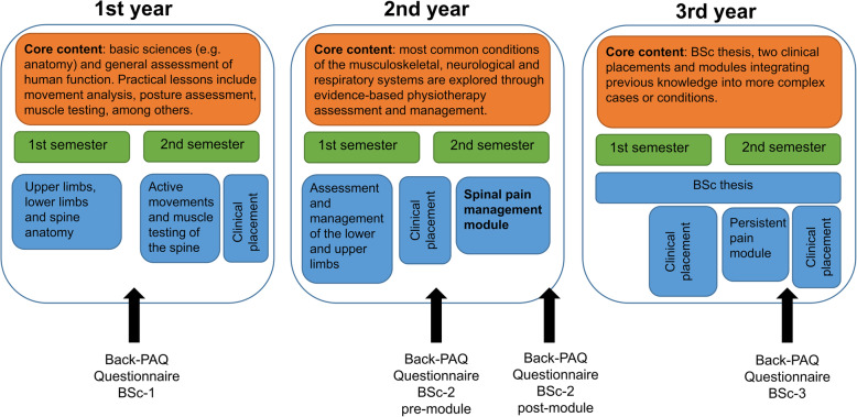 Changes in physiotherapy students' beliefs and attitudes about low back pain through pre-registration training.