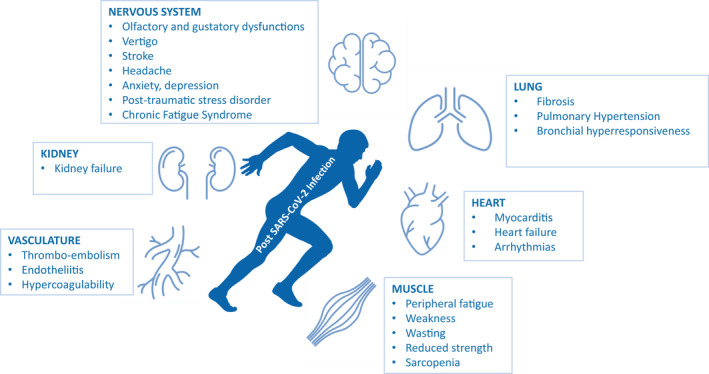 Exercise and sports after COVID-19-Guidance from a clinical perspective.