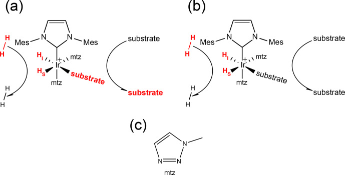 Determination of hydrogen exchange and relaxation parameters in PHIP complexes at micromolar concentrations.