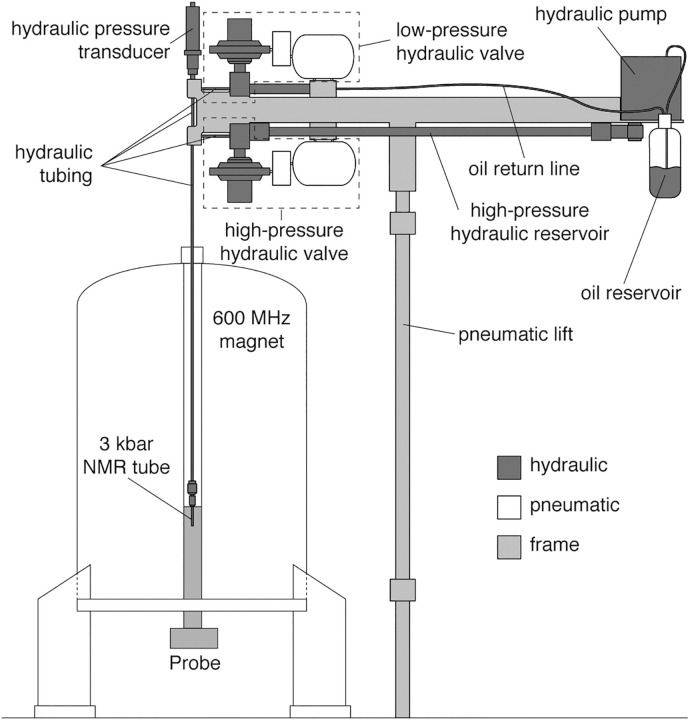 Real-time nuclear magnetic resonance spectroscopy in the study of biomolecular kinetics and dynamics.