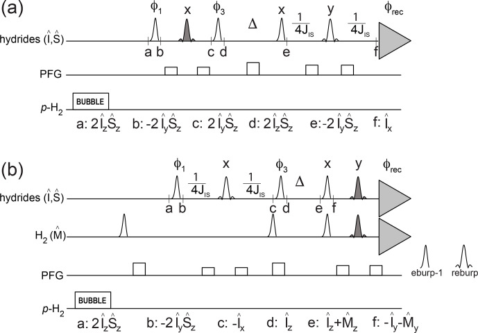 Determination of hydrogen exchange and relaxation parameters in PHIP complexes at micromolar concentrations.