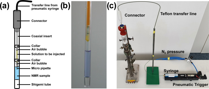 Real-time nuclear magnetic resonance spectroscopy in the study of biomolecular kinetics and dynamics.