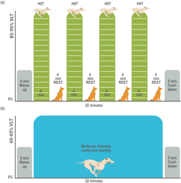 Efficacy of high-intensity interval training compared with moderate-intensity continuous training on maximal aerobic potency in dogs: Trial protocol for a randomised controlled clinical study.