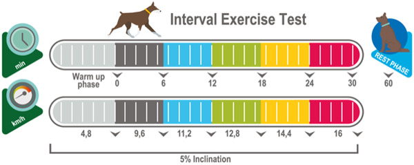 Efficacy of high-intensity interval training compared with moderate-intensity continuous training on maximal aerobic potency in dogs: Trial protocol for a randomised controlled clinical study.