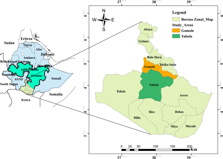 Camel Trypanosomosis in Yabelo and Gomole Districts in Ethiopia: Prevalence and Associated Risk Factors Based on Parasitological Examinations.