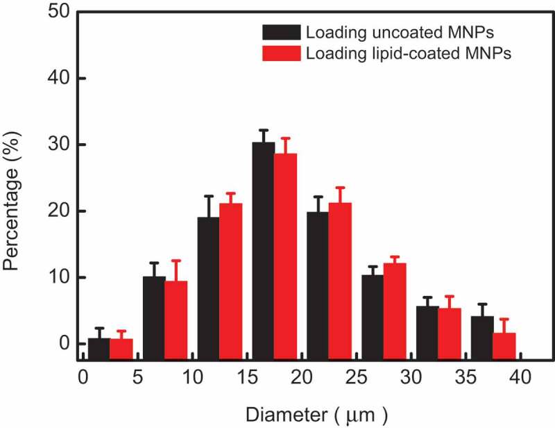 Drug release and magneto-calorific analysis of magnetic lipid microcapsules for potential cancer therapeutics.