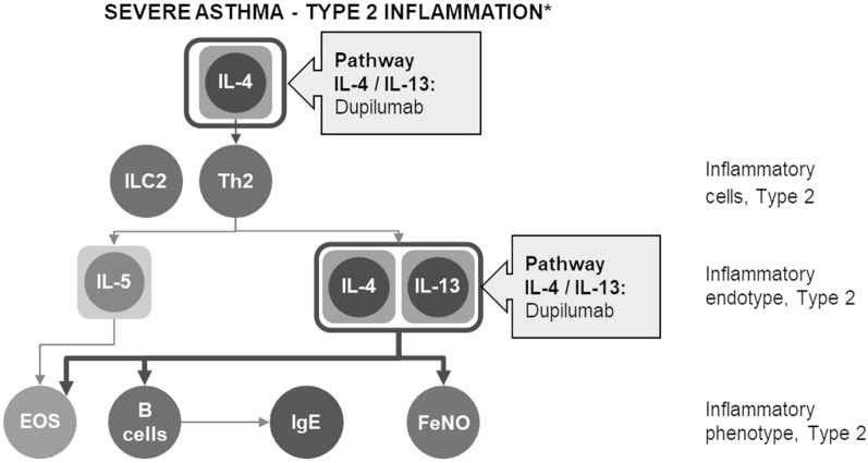 Defining type 2 asthma and patients eligible for dupilumab in Italy: a biomarker-based analysis.