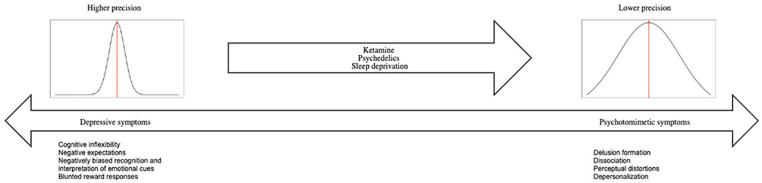 A continuum hypothesis of psychotomimetic rapid antidepressants.