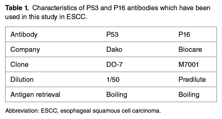 P16 and P53 Expression in Esophageal Squamous Cell Carcinoma: A Brief Report From The Experience of South of Iran, and Review of the Literature.