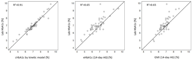 Accurate prediction of HbA1c by continuous glucose monitoring using a kinetic model with patient-specific parameters for red blood cell lifespan and glucose uptake.