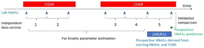 Accurate prediction of HbA1c by continuous glucose monitoring using a kinetic model with patient-specific parameters for red blood cell lifespan and glucose uptake.