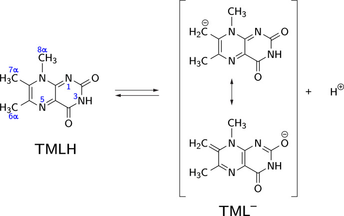 Non-classical disproportionation revealed by photo-chemically induced dynamic nuclear polarization NMR.