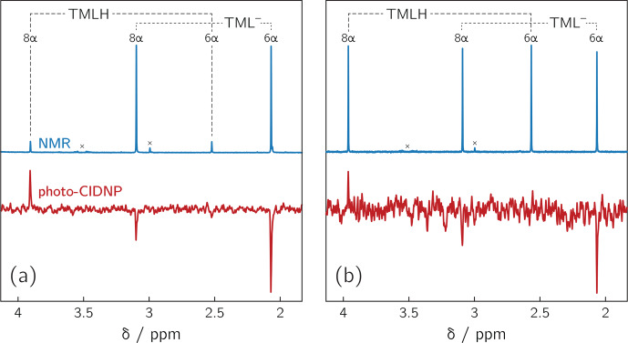 Non-classical disproportionation revealed by photo-chemically induced dynamic nuclear polarization NMR.