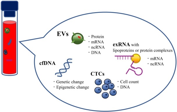 Extracellular vesicles as a promising biomarker resource in liquid biopsy for cancer.