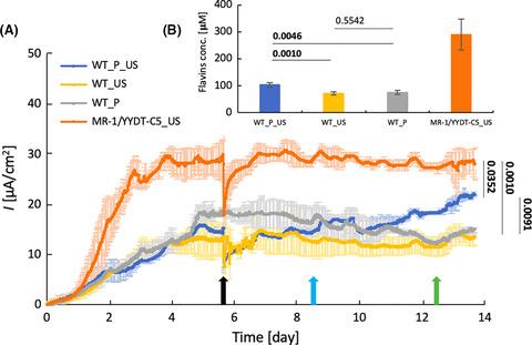 Genetic engineering biofilms in situ using ultrasound-mediated DNA delivery