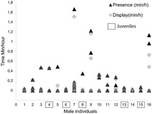 Social and environmental cues drive the intra-population variation in courtship behavior of a neotropical lekking bird