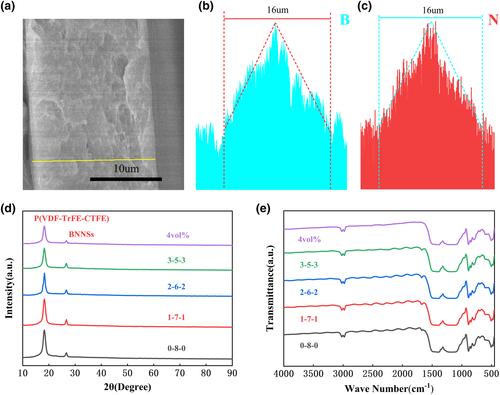 Energy storage properties of P(VDF-TrFE-CTFE)-based composite dielectrics with uniform and gradient-doped boron nitride nanosheets